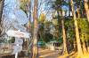 ALOHA GLAMPING RESORT